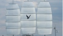 Maltese Falcon - From the Side